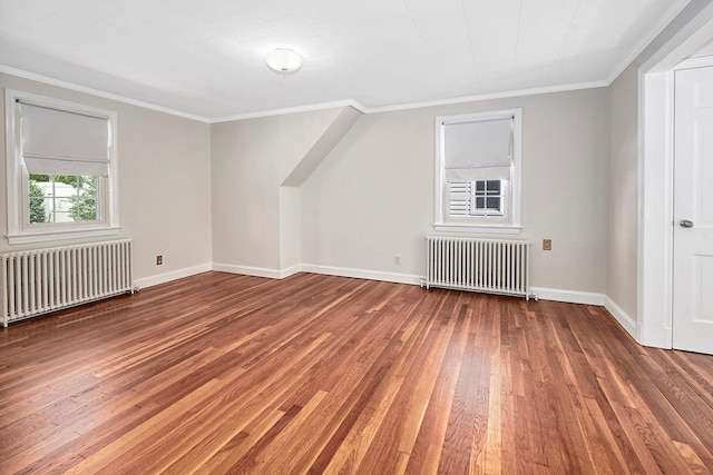 19 Cloverdale Ave, White Plains, NY 10603 - bonus room featuring radiator and hardwood / wood-style flooring