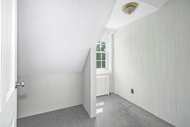19 Cloverdale Ave, White Plains, NY 10603 - additional living space featuring radiator, carpet, and lofted ceiling