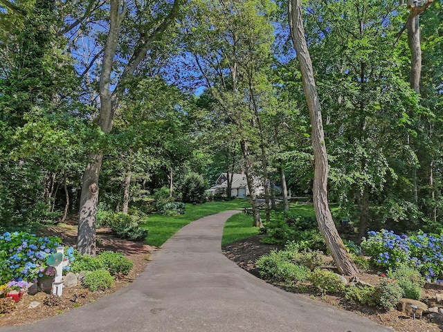 353 Split Rock Rd, Syosset, NY 11791 - view of home's community with a yard
