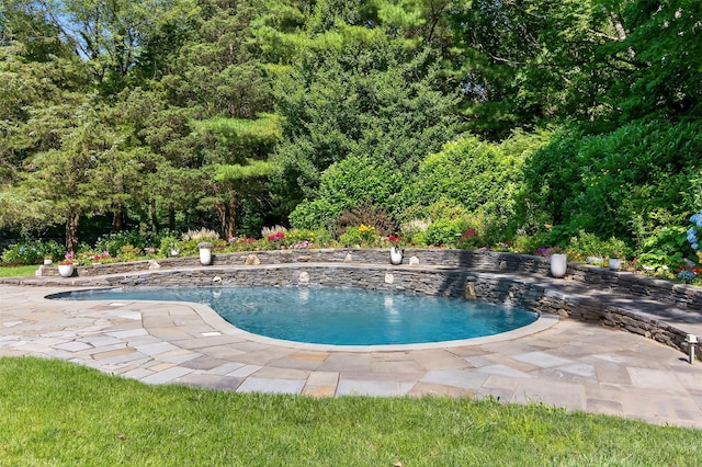 353 Split Rock Rd, Syosset, NY 11791 - outdoor pool featuring a patio