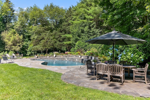 353 Split Rock Rd, Syosset, NY 11791 - swimming pool with a patio area and a lawn