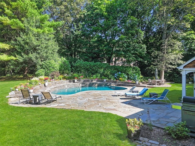 353 Split Rock Rd, Syosset, NY 11791 - swimming pool featuring a patio and a lawn