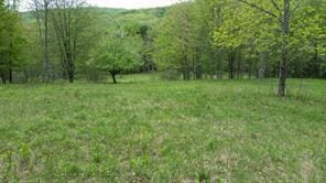 Hessinger Lare Rd, Youngsville, NY 12791 - photo 3