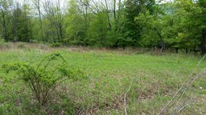 Hessinger Lare Rd, Youngsville, NY 12791 - photo 2