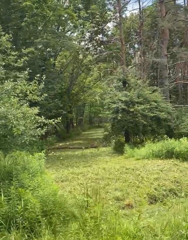 Hessinger Lare Rd, Youngsville, NY 12791 - photo 9