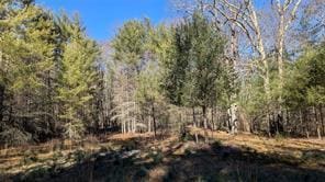 Hessinger Lare Rd, Youngsville, NY 12791 - photo 16