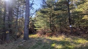 Hessinger Lare Rd, Youngsville, NY 12791 - photo 17