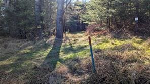 Hessinger Lare Rd, Youngsville, NY 12791 - photo 18