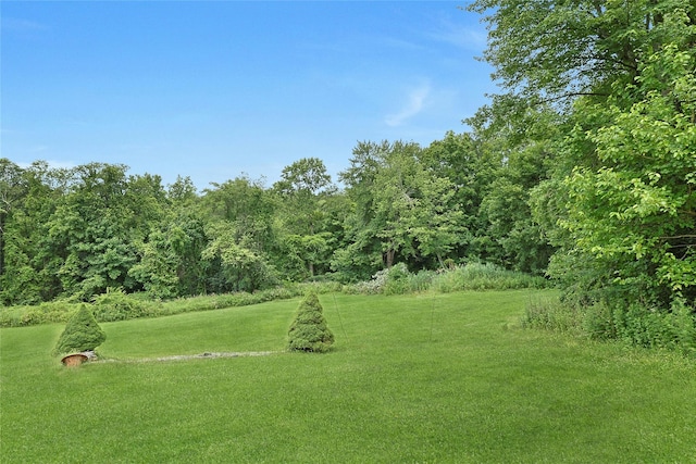 267 Lafayette Ave, Cortlandt Manor, NY 10567 - photo 33