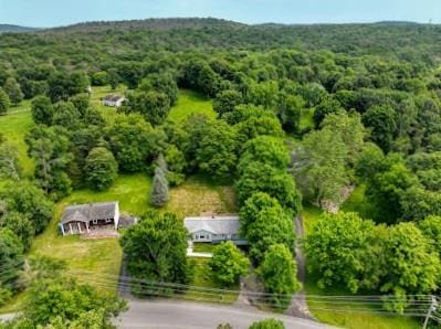 166 Hibernia Rd, Salt Point, NY 12578 - view from above of property with a heavily wooded area