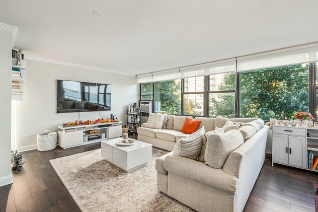 166-41 Powells Cove Blvd Unit 4B, Beechhurst, NY 11357 - living room featuring ornamental molding, dark wood-style floors, and healthy amount of natural light