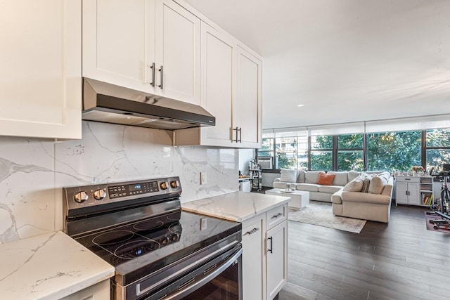 166-41 Powells Cove Blvd Unit 4B, Beechhurst, NY 11357 - kitchen with stainless steel electric stove, under cabinet range hood, white cabinetry, decorative backsplash, and light stone countertops