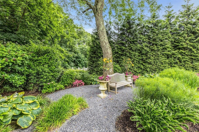 74 Woods Dr, Roslyn, NY 11576 - view of yard