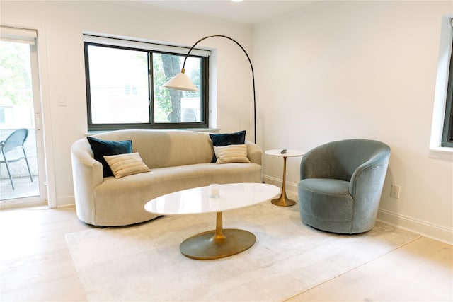 21 Canterbury Rd Unit 3, Great Neck, NY 11021 - living area featuring plenty of natural light and wood finished floors