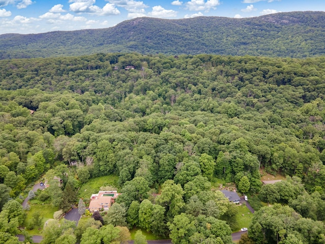 39 Knollwood Ln, Cold Spring, NY 10516 - drone / aerial view of a heavily wooded area and a mountain backdrop