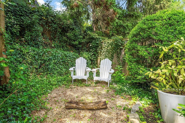 44 Kingsbury Rd, New Rochelle, NY 10804 - view of yard