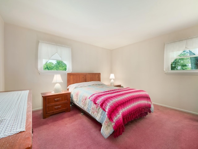 34 Crambrook Rd, New City, NY 10956 - bedroom with multiple windows and carpet floors