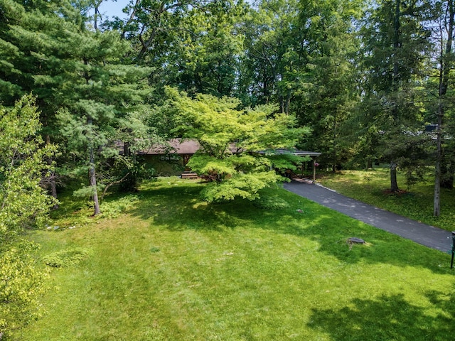 41 Colburn Dr, Poughkeepsie, NY 12603 - view of grassy yard featuring a carport, asphalt driveway, and a forest view
