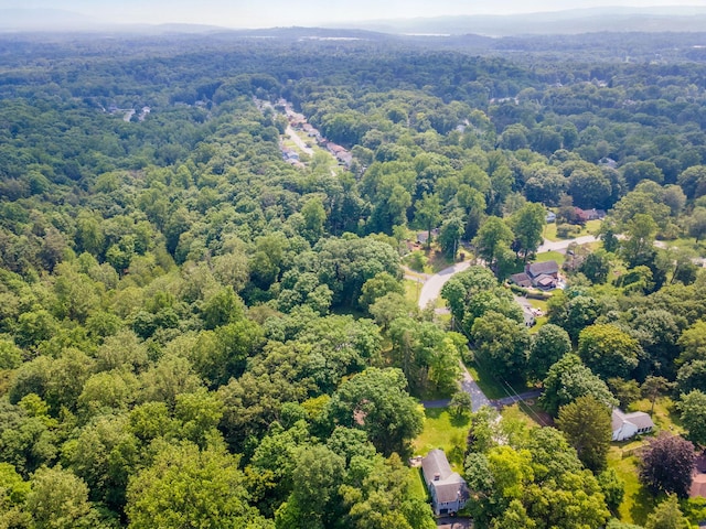 41 Colburn Dr, Poughkeepsie, NY 12603 - bird's eye view of a forest