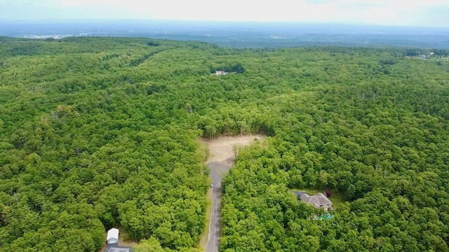 11 Rock Hill Rd, Earlton, NY 12051 - photo 1