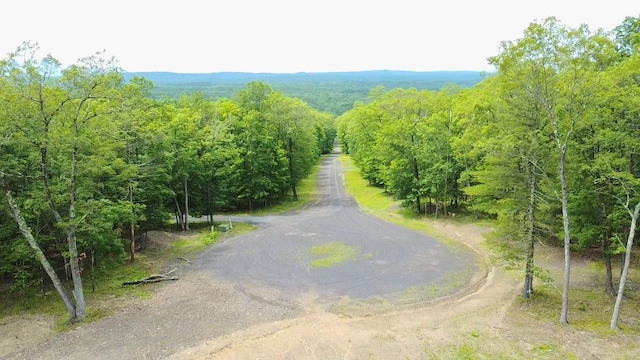11 Rock Hill Rd, Earlton, NY 12051 - photo 5