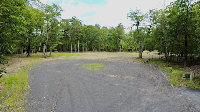 11 Rock Hill Rd, Earlton, NY 12051 - photo 6