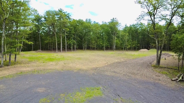 11 Rock Hill Rd, Earlton, NY 12051 - photo 8