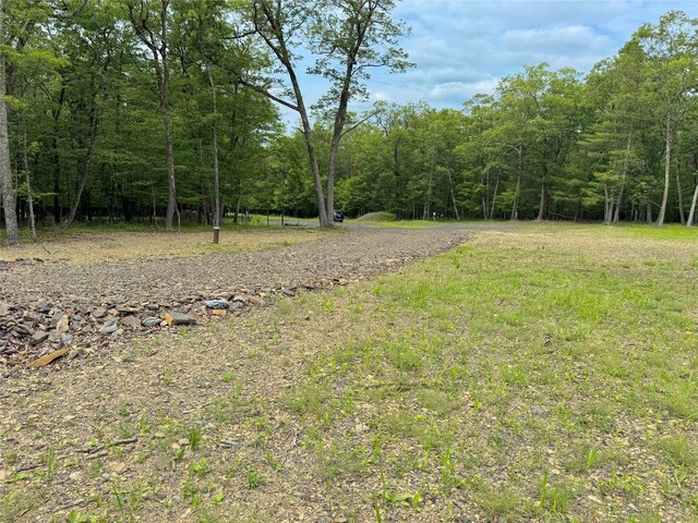 11 Rock Hill Rd, Earlton, NY 12051 - photo 9