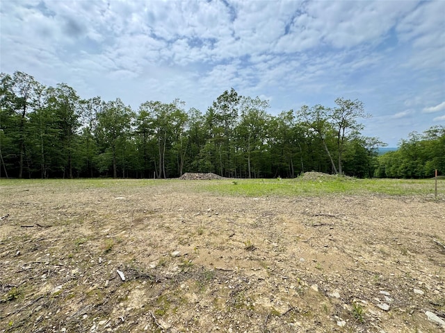 11 Rock Hill Rd, Earlton, NY 12051 - photo 10