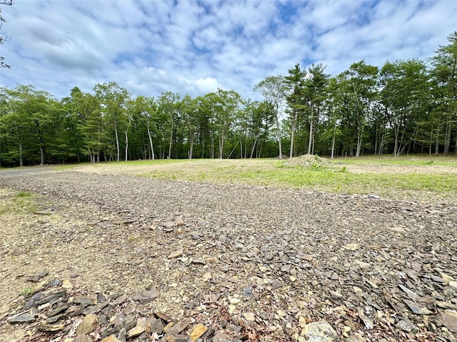 11 Rock Hill Rd, Earlton, NY 12051 - photo 11