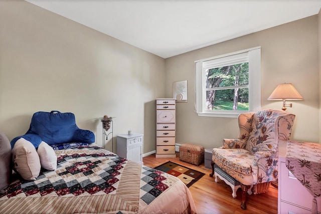 17 Woodrum Dr, Stony Point, NY 10980 - bedroom featuring light wood-style flooring and a baseboard radiator