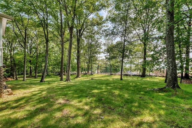 17 Woodrum Dr, Stony Point, NY 10980 - view of green lawn