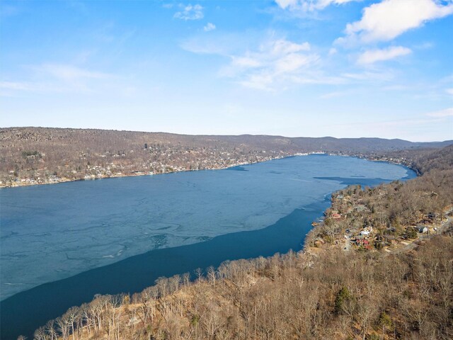 15 Park Ave, Greenwood Lake, NY 10925 - photo 38