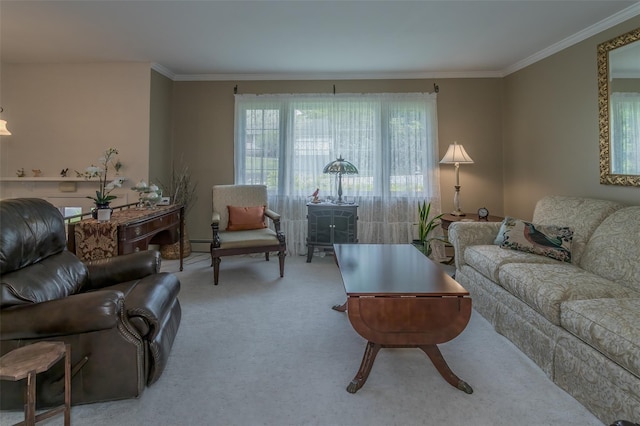 2 Valley View Cir, Warwick, NY 10990 - living room featuring carpet flooring, crown molding, and a baseboard heating unit