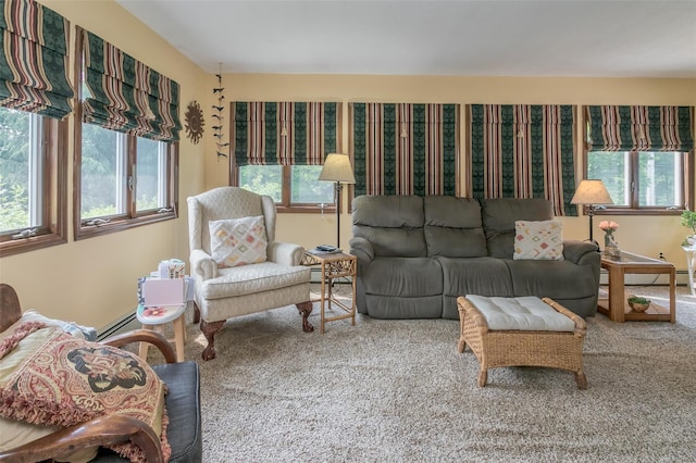 2 Valley View Cir, Warwick, NY 10990 - living area with carpet