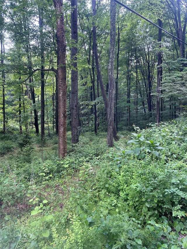 Gordon Rd, Carmel, NY 10512 - photo 1