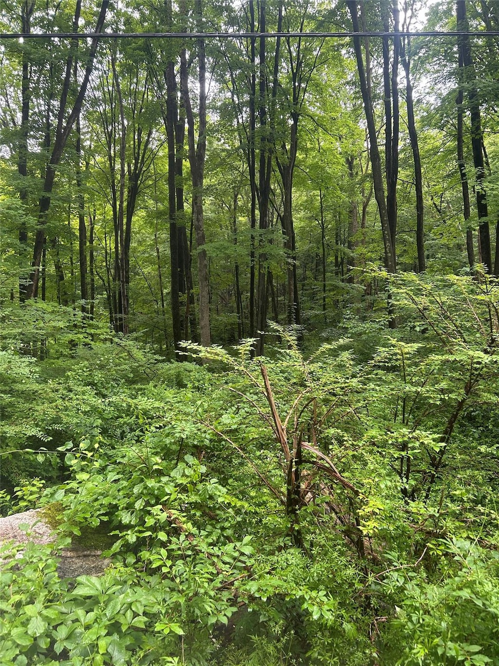 Gordon Rd, Carmel, NY 10512 - photo 2