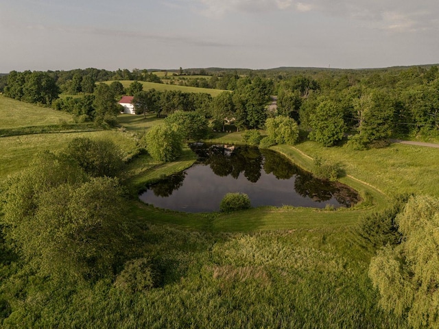 361 Schnackenberg Rd, Ghent, NY 12075 - photo 49