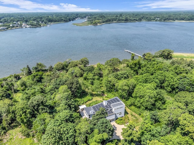 34 Old Neck Rd S, Center Moriches, NY 11934 - bird's eye view of a nearby body of water and a heavily wooded area