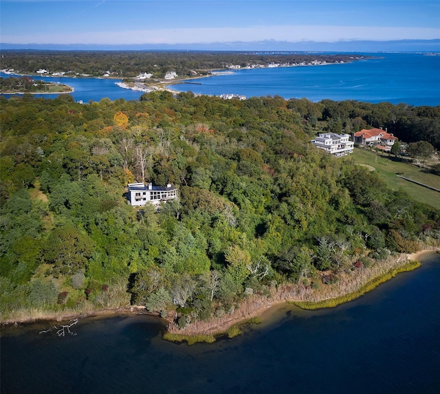 34 Old Neck Rd S, Center Moriches, NY 11934 - aerial overview of property's location with a heavily wooded area and a large body of water