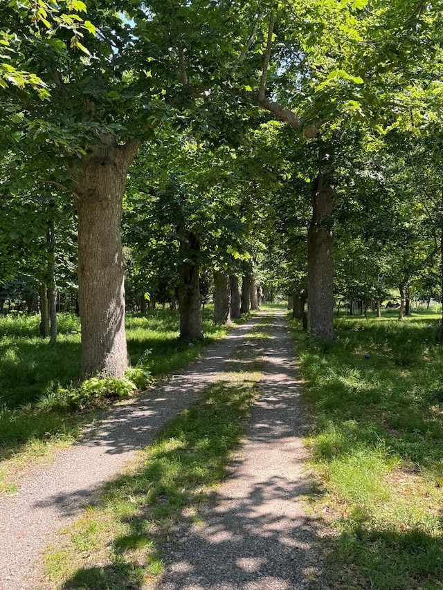 34 Old Neck Rd S, Center Moriches, NY 11934 - view of dirt / gravel road