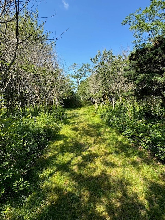 34 Old Neck Rd S, Center Moriches, NY 11934 - view of green lawn