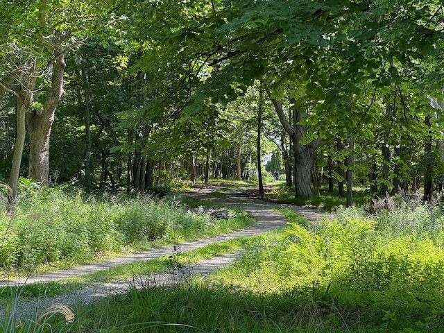 34 Old Neck Rd S, Center Moriches, NY 11934 - view of property's community with a forest view