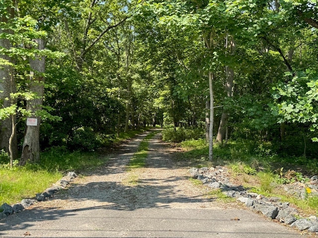 34 Old Neck Rd S, Center Moriches, NY 11934 - view of dirt / gravel road featuring a wooded view