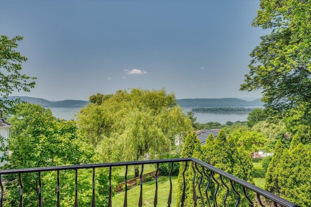 9 Gualtiere Ln, Ossining, NY 10562 - photo 30