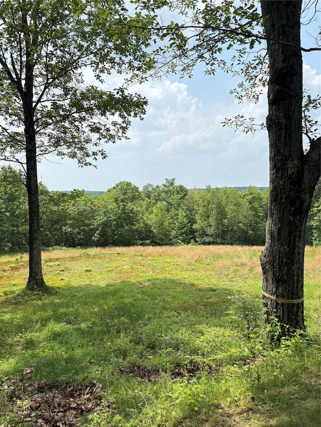Willow Glen Rd, Red Hook, NY 12571