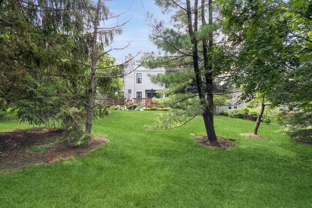 175 Horseshoe Cir, Ossining, NY 10562 - view of green lawn