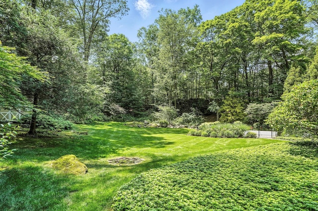 54 Banksville Rd, Armonk, NY 10504 - photo 33
