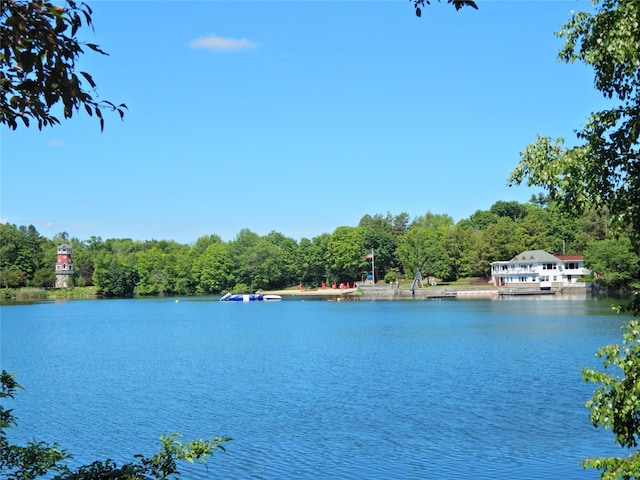 54 Banksville Rd, Armonk, NY 10504 - photo 41