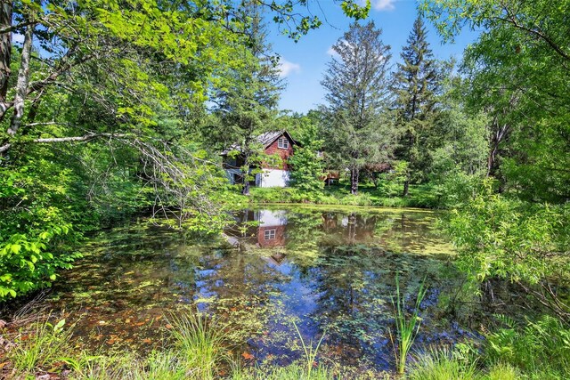 321 Spadola Ln, Pine Bush, NY 12566 - photo 30